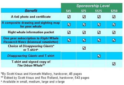 sponsor packages2