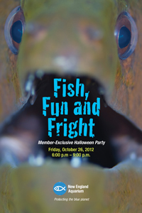 Fish, Fun and Fright
