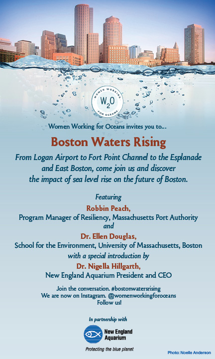 Boston Waters Rising