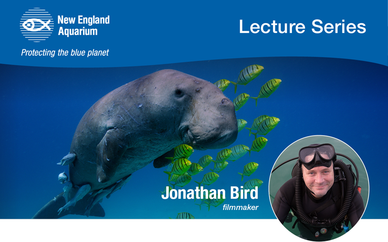 Secrets of the Sea with Jonathan Bird