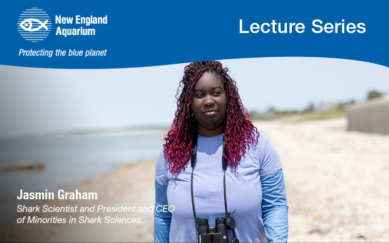 Jasmin Graham, shark scientist and president and CEO of Minorities in Shark Science