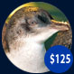 $125 buys two blood tests used for assessment of sick fish, penguins, seals and turtles.