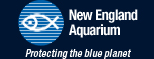 New England Aquarium logo