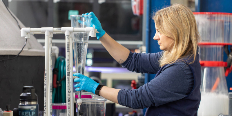 Photo of the Aquarium's larval fishes lab