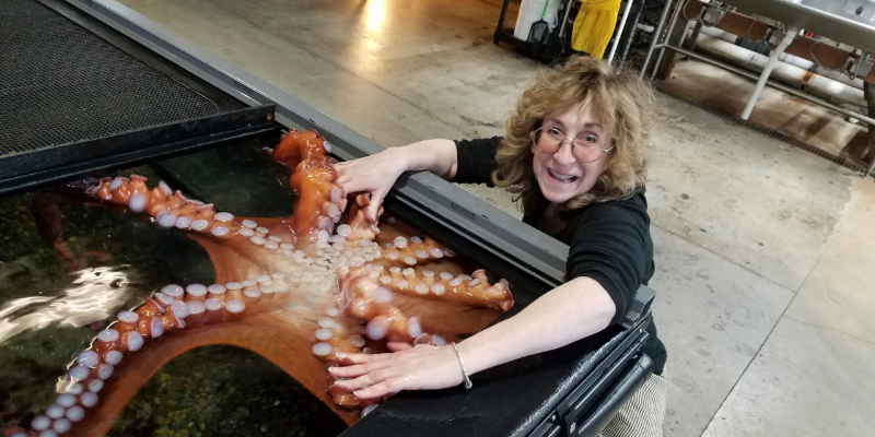 Photo of Sy Montgomery