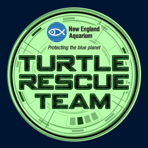Turtle Rescue Team